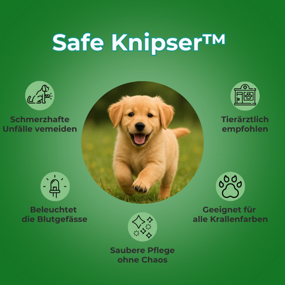 Safe Knipser™